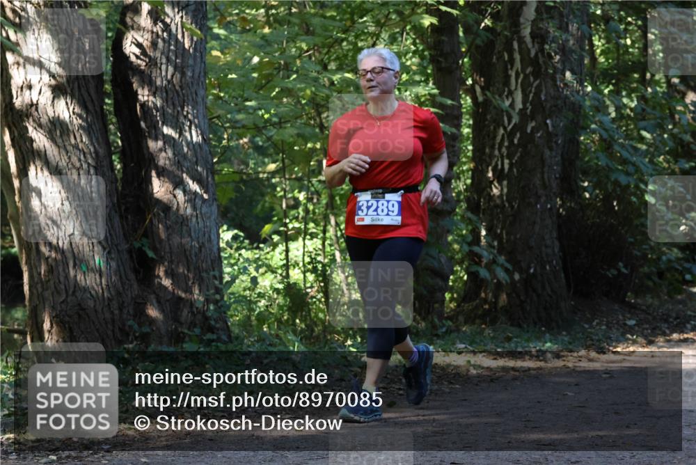 28.09.2025 - 33. Volkslauf durch das schöne Alstertal Strokosch-Dieckow http://msf.ph/oto/8970085 28.09.2025 11:42:27 Laufen 3289 meine-sportfotos.de