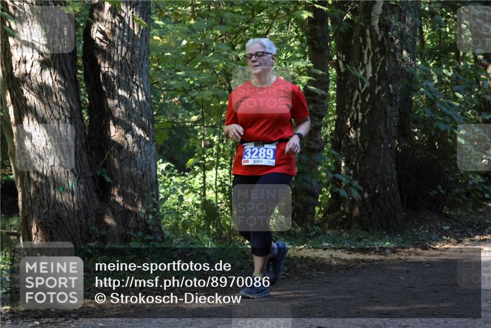 28.09.2025 - 33. Volkslauf durch das schöne Alstertal Strokosch-Dieckow http://msf.ph/oto/8970086 28.09.2025 11:42:27 Laufen 3289 meine-sportfotos.de