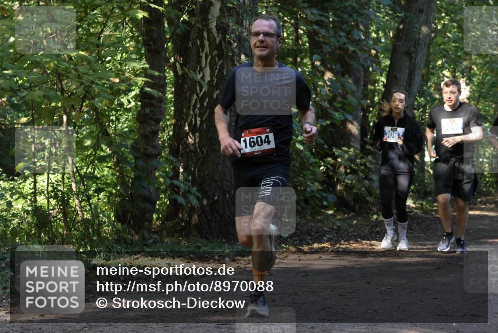 28.09.2025 - 33. Volkslauf durch das schöne Alstertal Strokosch-Dieckow http://msf.ph/oto/8970088 28.09.2025 11:42:28 Laufen 1604, 3082 meine-sportfotos.de