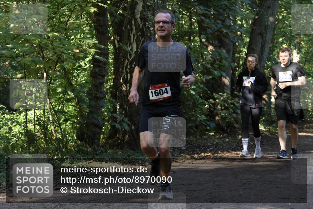 28.09.2025 - 33. Volkslauf durch das schöne Alstertal Strokosch-Dieckow http://msf.ph/oto/8970090 28.09.2025 11:42:28 Laufen 1604 meine-sportfotos.de