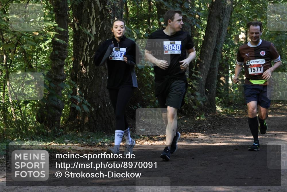 28.09.2025 - 33. Volkslauf durch das schöne Alstertal Strokosch-Dieckow http://msf.ph/oto/8970091 28.09.2025 11:42:30 Laufen 3087, 3040, 1577 meine-sportfotos.de