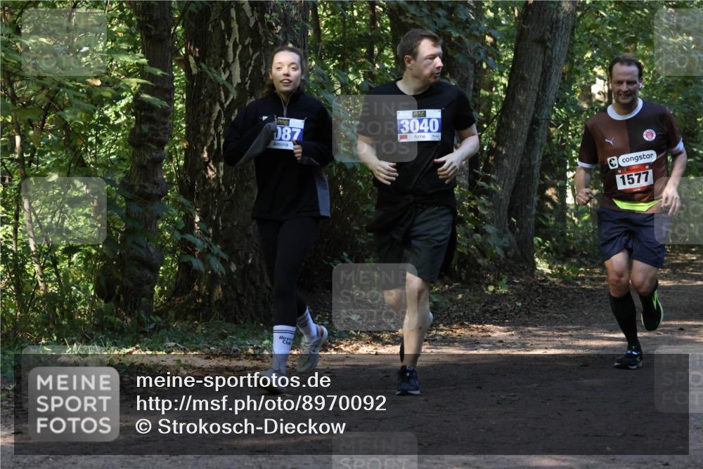 28.09.2025 - 33. Volkslauf durch das schöne Alstertal Strokosch-Dieckow http://msf.ph/oto/8970092 28.09.2025 11:42:30 Laufen 087, 3040, 1577 meine-sportfotos.de