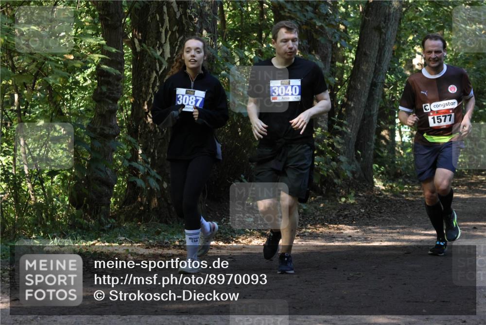 28.09.2025 - 33. Volkslauf durch das schöne Alstertal Strokosch-Dieckow http://msf.ph/oto/8970093 28.09.2025 11:42:30 Laufen 3087, 3040, 1577 meine-sportfotos.de