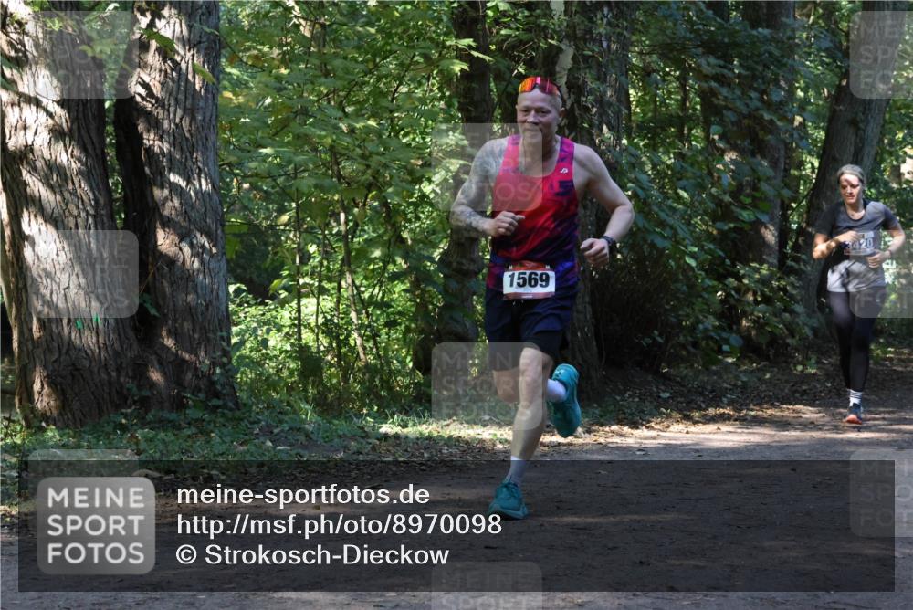 28.09.2025 - 33. Volkslauf durch das schöne Alstertal Strokosch-Dieckow http://msf.ph/oto/8970098 28.09.2025 11:42:50 Laufen 3420, 1569 meine-sportfotos.de