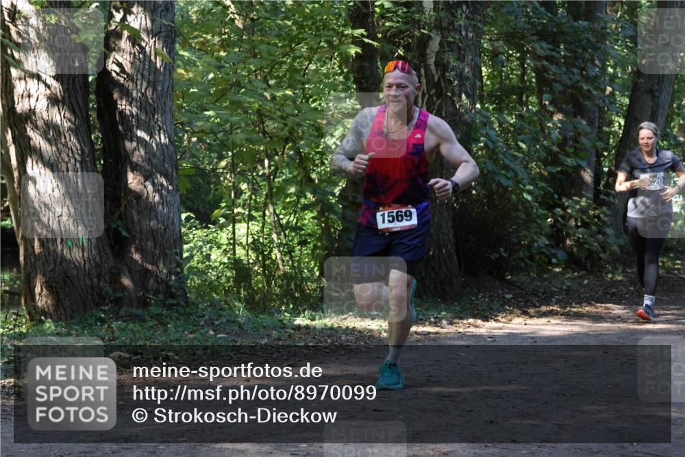 28.09.2025 - 33. Volkslauf durch das schöne Alstertal Strokosch-Dieckow http://msf.ph/oto/8970099 28.09.2025 11:42:50 Laufen 1569 meine-sportfotos.de