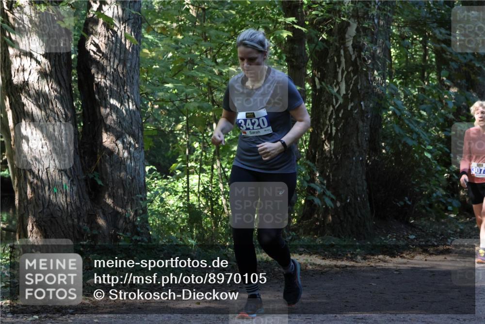 28.09.2025 - 33. Volkslauf durch das schöne Alstertal Strokosch-Dieckow http://msf.ph/oto/8970105 28.09.2025 11:42:53 Laufen 3420, 3073 meine-sportfotos.de