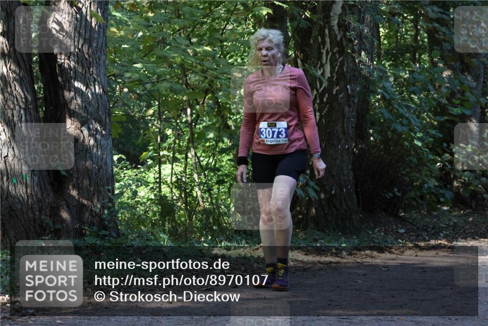 28.09.2025 - 33. Volkslauf durch das schöne Alstertal Strokosch-Dieckow http://msf.ph/oto/8970107 28.09.2025 11:42:56 Laufen 3073 meine-sportfotos.de