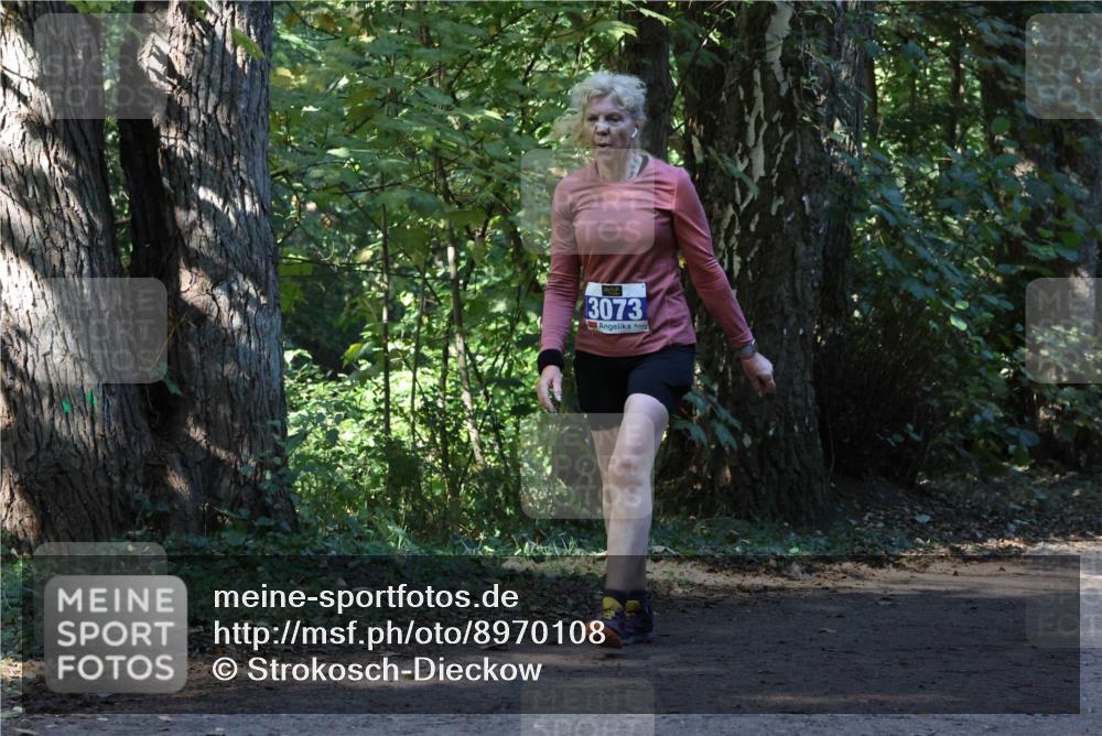 28.09.2025 - 33. Volkslauf durch das schöne Alstertal Strokosch-Dieckow http://msf.ph/oto/8970108 28.09.2025 11:42:56 Laufen 3073 meine-sportfotos.de