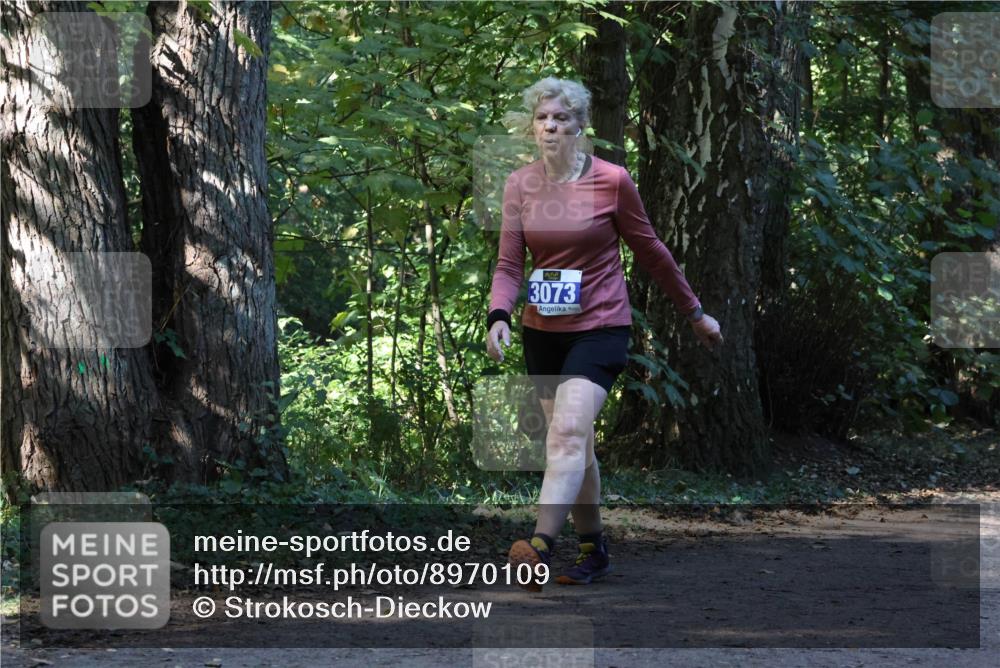 28.09.2025 - 33. Volkslauf durch das schöne Alstertal Strokosch-Dieckow http://msf.ph/oto/8970109 28.09.2025 11:42:56 Laufen 3073 meine-sportfotos.de