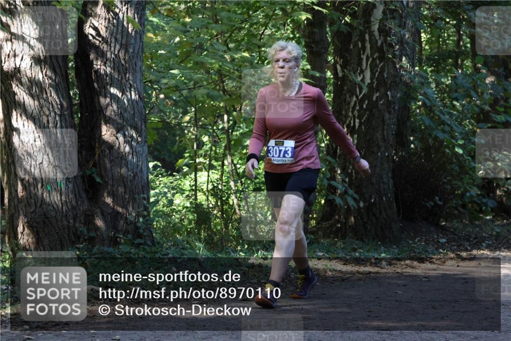 28.09.2025 - 33. Volkslauf durch das schöne Alstertal Strokosch-Dieckow http://msf.ph/oto/8970110 28.09.2025 11:42:56 Laufen 3073 meine-sportfotos.de
