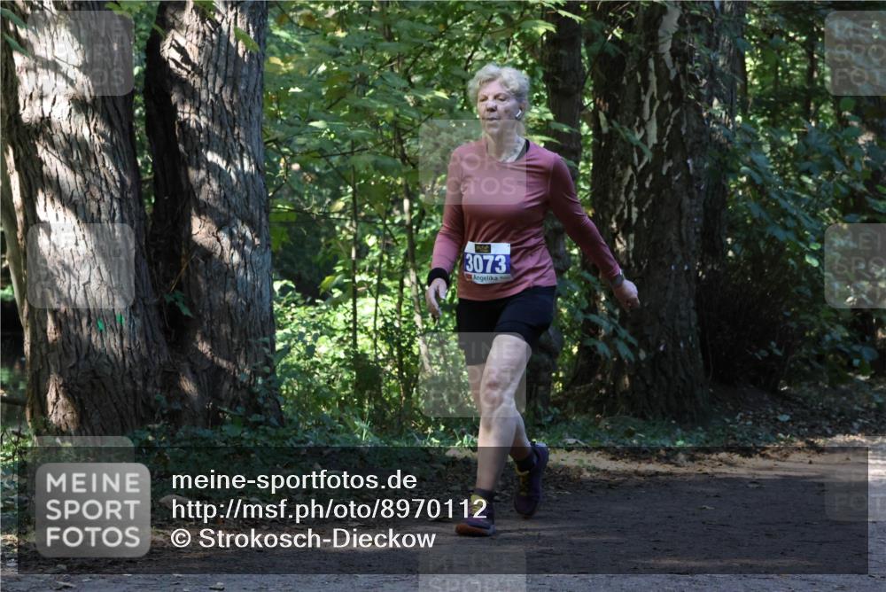 28.09.2025 - 33. Volkslauf durch das schöne Alstertal Strokosch-Dieckow http://msf.ph/oto/8970112 28.09.2025 11:42:56 Laufen 3073 meine-sportfotos.de