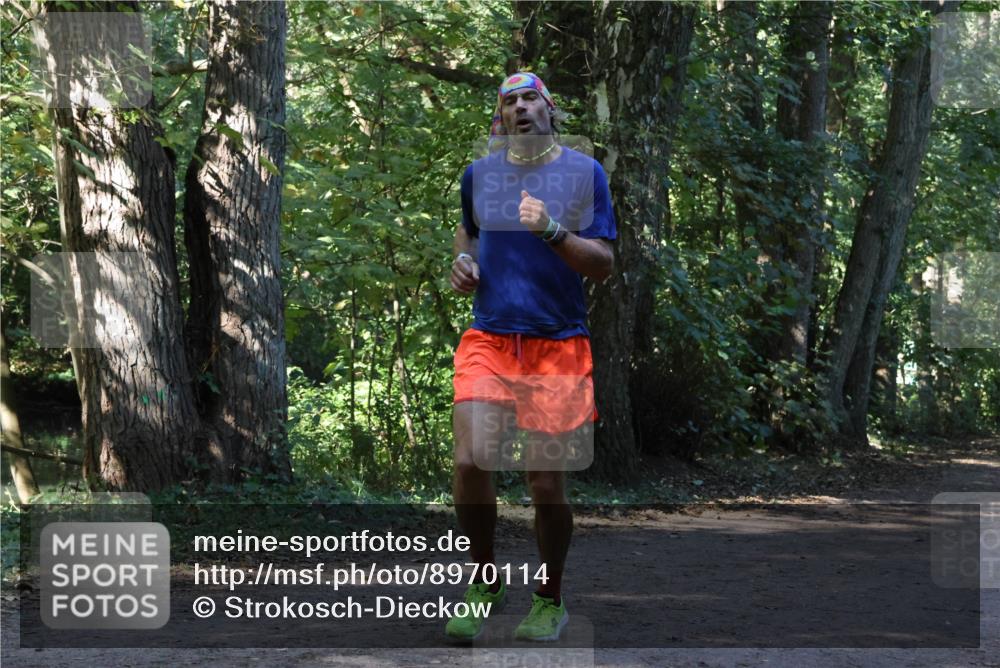 28.09.2025 - 33. Volkslauf durch das schöne Alstertal Strokosch-Dieckow http://msf.ph/oto/8970114 28.09.2025 11:43:00 Laufen  meine-sportfotos.de