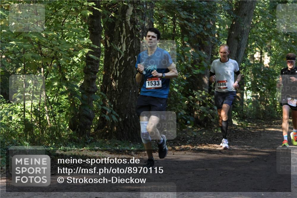 28.09.2025 - 33. Volkslauf durch das schöne Alstertal Strokosch-Dieckow http://msf.ph/oto/8970115 28.09.2025 11:43:06 Laufen 1533, 1586, 2408 meine-sportfotos.de