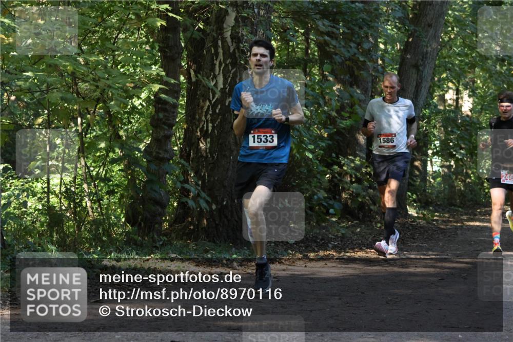 28.09.2025 - 33. Volkslauf durch das schöne Alstertal Strokosch-Dieckow http://msf.ph/oto/8970116 28.09.2025 11:43:06 Laufen 1533, 1586, 240 meine-sportfotos.de