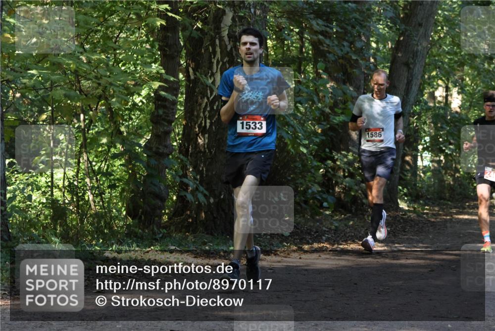 28.09.2025 - 33. Volkslauf durch das schöne Alstertal Strokosch-Dieckow http://msf.ph/oto/8970117 28.09.2025 11:43:06 Laufen 1533, 1586 meine-sportfotos.de