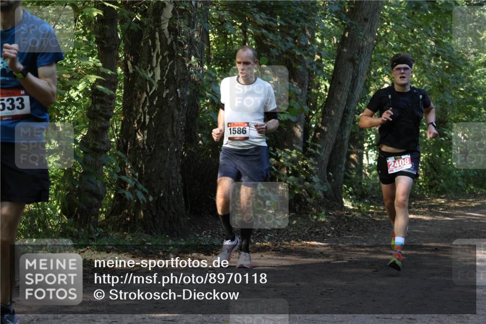28.09.2025 - 33. Volkslauf durch das schöne Alstertal Strokosch-Dieckow http://msf.ph/oto/8970118 28.09.2025 11:43:07 Laufen 533, 1586, 2408 meine-sportfotos.de