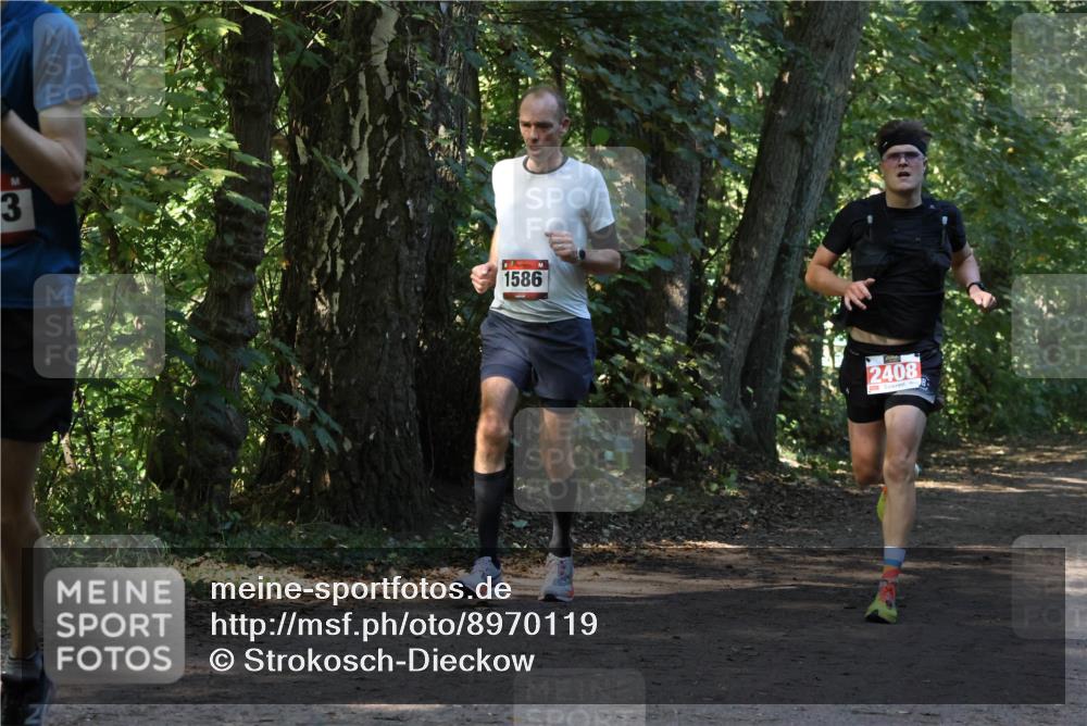28.09.2025 - 33. Volkslauf durch das schöne Alstertal Strokosch-Dieckow http://msf.ph/oto/8970119 28.09.2025 11:43:07 Laufen 3, 1586, 2408 meine-sportfotos.de