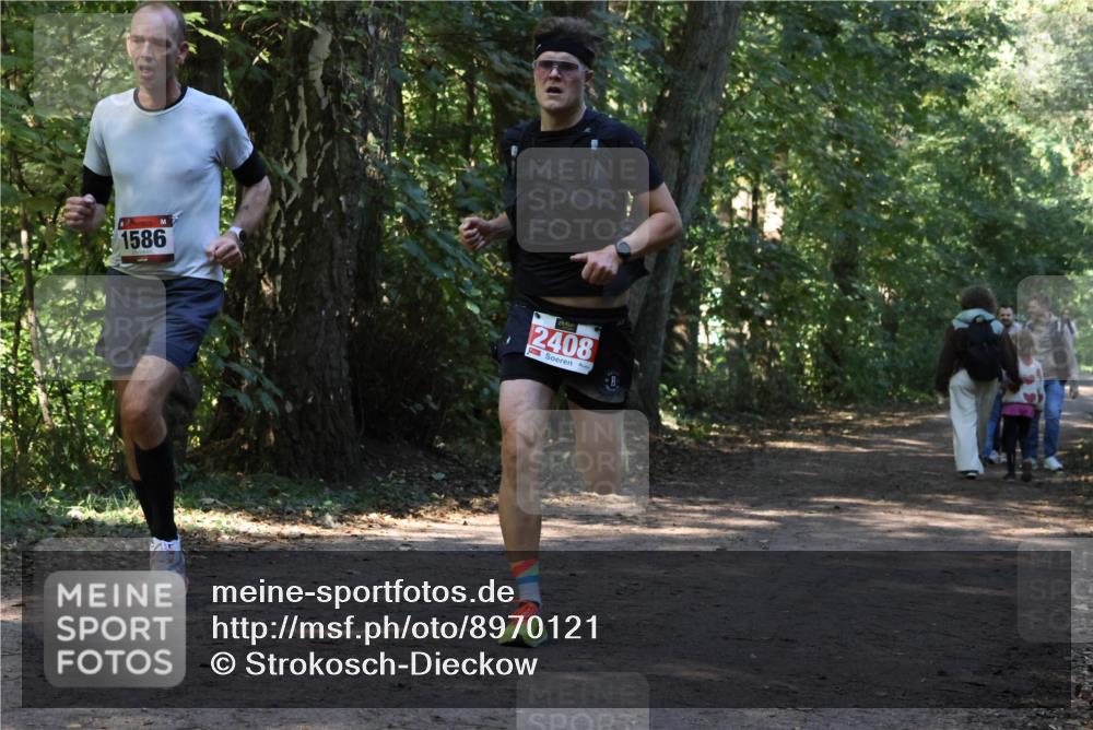 28.09.2025 - 33. Volkslauf durch das schöne Alstertal Strokosch-Dieckow http://msf.ph/oto/8970121 28.09.2025 11:43:08 Laufen 1586, 2408 meine-sportfotos.de