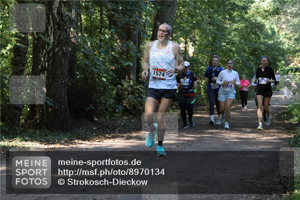 28.09.2025 - 33. Volkslauf durch das schöne Alstertal Strokosch-Dieckow http://msf.ph/oto/8970134 28.09.2025 11:43:49 Laufen 1574, 3163, 3153, 3162, 5172 meine-sportfotos.de