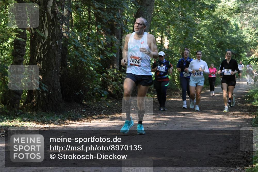 28.09.2025 - 33. Volkslauf durch das schöne Alstertal Strokosch-Dieckow http://msf.ph/oto/8970135 28.09.2025 11:43:49 Laufen 1574, 3153, 3162, 3172, 3163 meine-sportfotos.de
