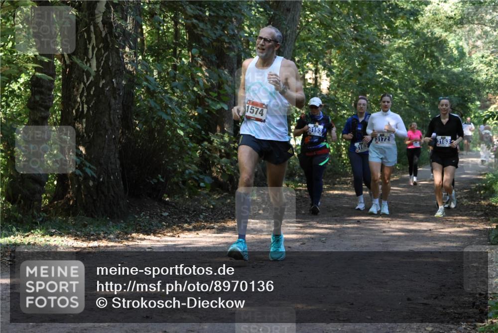 28.09.2025 - 33. Volkslauf durch das schöne Alstertal Strokosch-Dieckow http://msf.ph/oto/8970136 28.09.2025 11:43:49 Laufen 1574, 3153, 3162, 3172, 3163 meine-sportfotos.de