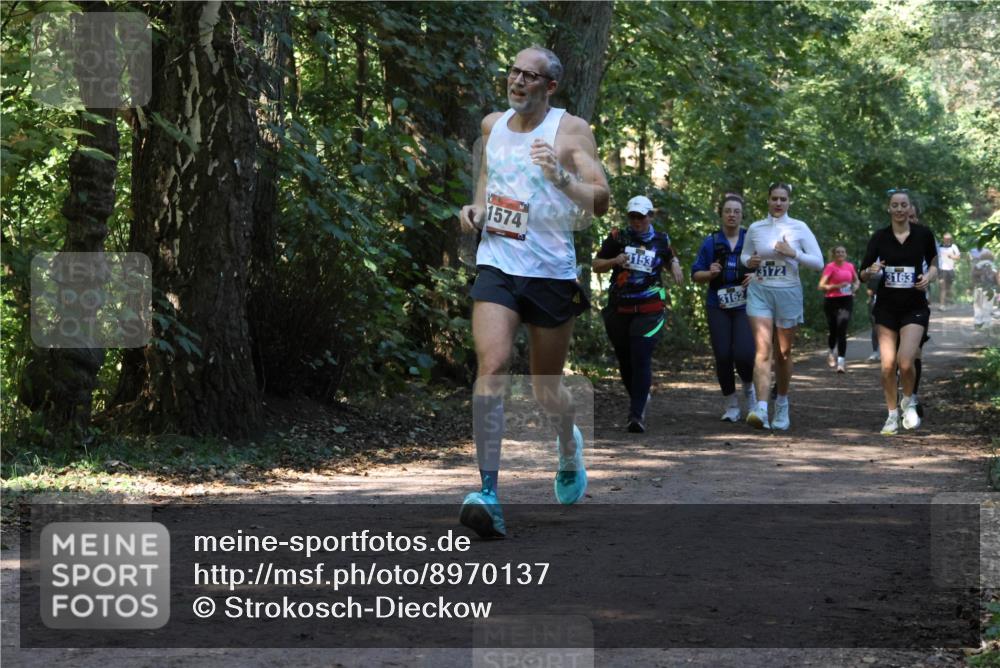 28.09.2025 - 33. Volkslauf durch das schöne Alstertal Strokosch-Dieckow http://msf.ph/oto/8970137 28.09.2025 11:43:50 Laufen 1574, 3153, 3172, 3163, 3162 meine-sportfotos.de