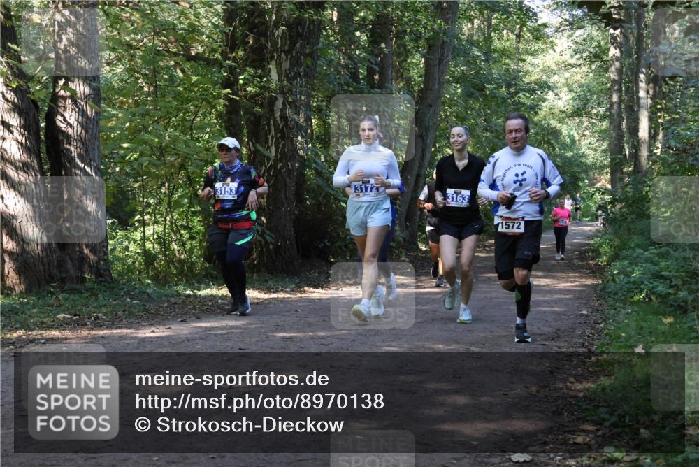 28.09.2025 - 33. Volkslauf durch das schöne Alstertal Strokosch-Dieckow http://msf.ph/oto/8970138 28.09.2025 11:43:54 Laufen 3172, 3153, 3163, 1572 meine-sportfotos.de