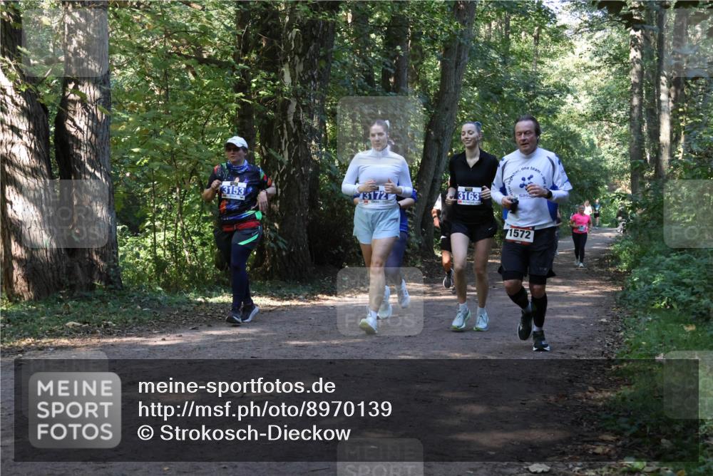 28.09.2025 - 33. Volkslauf durch das schöne Alstertal Strokosch-Dieckow http://msf.ph/oto/8970139 28.09.2025 11:43:54 Laufen 3153, 3172, 3163, 1572 meine-sportfotos.de
