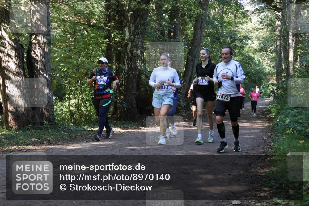 28.09.2025 - 33. Volkslauf durch das schöne Alstertal Strokosch-Dieckow http://msf.ph/oto/8970140 28.09.2025 11:43:54 Laufen 3153, 172, 3165, 1572 meine-sportfotos.de