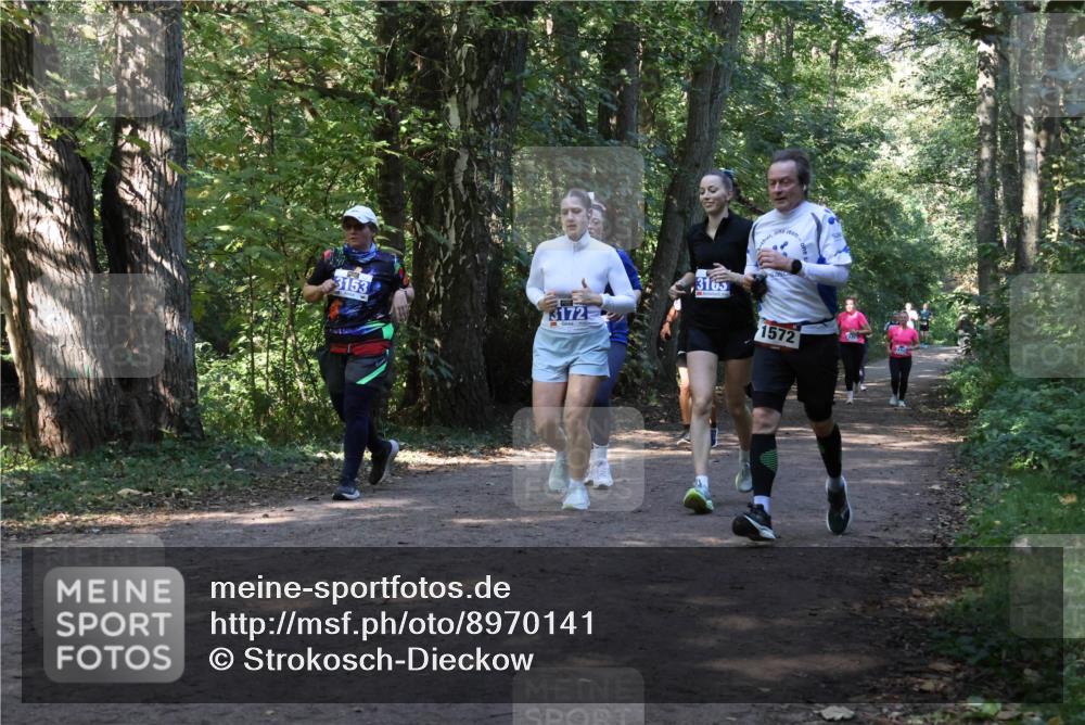 28.09.2025 - 33. Volkslauf durch das schöne Alstertal Strokosch-Dieckow http://msf.ph/oto/8970141 28.09.2025 11:43:54 Laufen 3153, 3172, 3165, 1572 meine-sportfotos.de