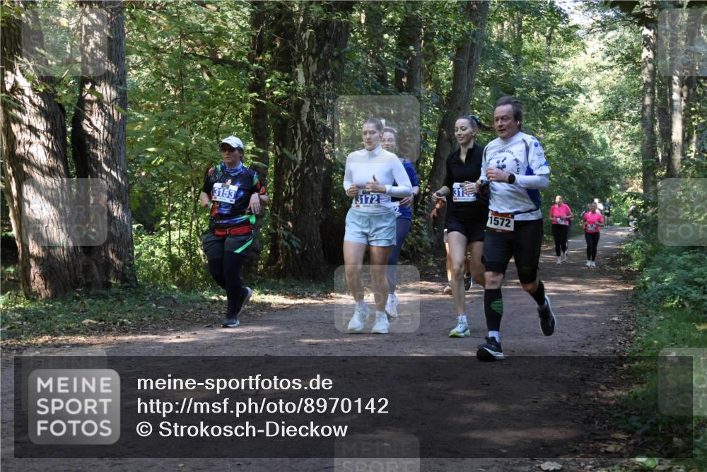 28.09.2025 - 33. Volkslauf durch das schöne Alstertal Strokosch-Dieckow http://msf.ph/oto/8970142 28.09.2025 11:43:54 Laufen 3153, 3172, 31, 1572 meine-sportfotos.de