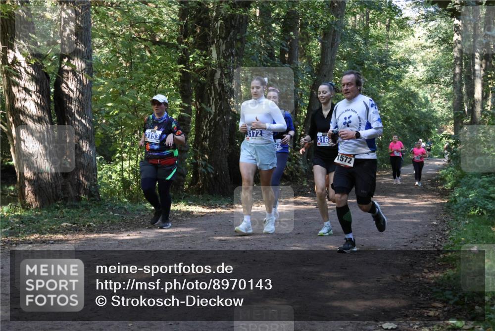28.09.2025 - 33. Volkslauf durch das schöne Alstertal Strokosch-Dieckow http://msf.ph/oto/8970143 28.09.2025 11:43:54 Laufen 3172, 3153, 316, 1572 meine-sportfotos.de