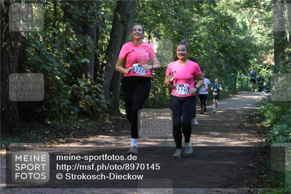 28.09.2025 - 33. Volkslauf durch das schöne Alstertal Strokosch-Dieckow http://msf.ph/oto/8970145 28.09.2025 11:44:01 Laufen 332, 3325 meine-sportfotos.de