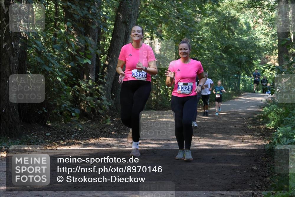 28.09.2025 - 33. Volkslauf durch das schöne Alstertal Strokosch-Dieckow http://msf.ph/oto/8970146 28.09.2025 11:44:01 Laufen 3326, 3325 meine-sportfotos.de