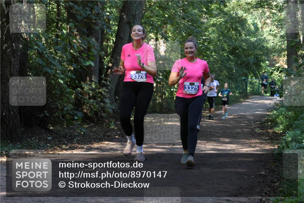 28.09.2025 - 33. Volkslauf durch das schöne Alstertal Strokosch-Dieckow http://msf.ph/oto/8970147 28.09.2025 11:44:01 Laufen 3326, 13325 meine-sportfotos.de