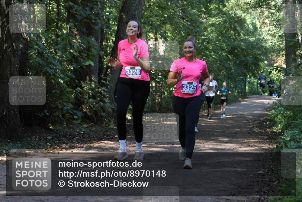 28.09.2025 - 33. Volkslauf durch das schöne Alstertal Strokosch-Dieckow http://msf.ph/oto/8970148 28.09.2025 11:44:01 Laufen 3326, 3325 meine-sportfotos.de