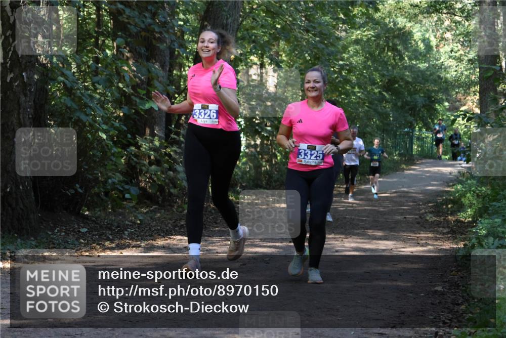 28.09.2025 - 33. Volkslauf durch das schöne Alstertal Strokosch-Dieckow http://msf.ph/oto/8970150 28.09.2025 11:44:01 Laufen 3326, 3325, 4589 meine-sportfotos.de