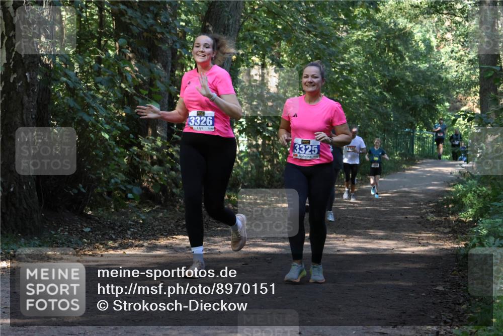 28.09.2025 - 33. Volkslauf durch das schöne Alstertal Strokosch-Dieckow http://msf.ph/oto/8970151 28.09.2025 11:44:01 Laufen 3326, 3325, 1000 meine-sportfotos.de