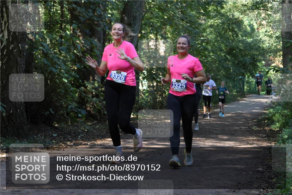 28.09.2025 - 33. Volkslauf durch das schöne Alstertal Strokosch-Dieckow http://msf.ph/oto/8970152 28.09.2025 11:44:01 Laufen 3326, 3325, 1580 meine-sportfotos.de