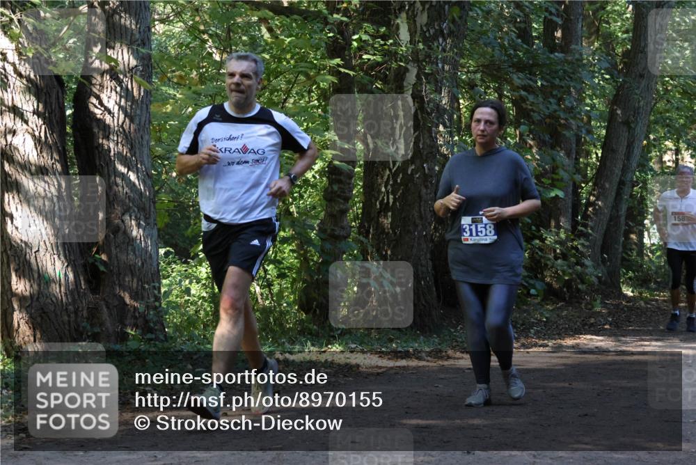 28.09.2025 - 33. Volkslauf durch das schöne Alstertal Strokosch-Dieckow http://msf.ph/oto/8970155 28.09.2025 11:44:07 Laufen 3158, 158 meine-sportfotos.de