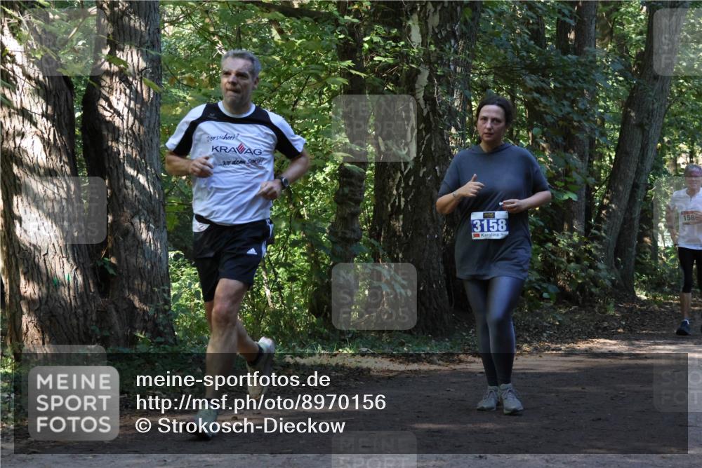 28.09.2025 - 33. Volkslauf durch das schöne Alstertal Strokosch-Dieckow http://msf.ph/oto/8970156 28.09.2025 11:44:07 Laufen 3158, 158 meine-sportfotos.de