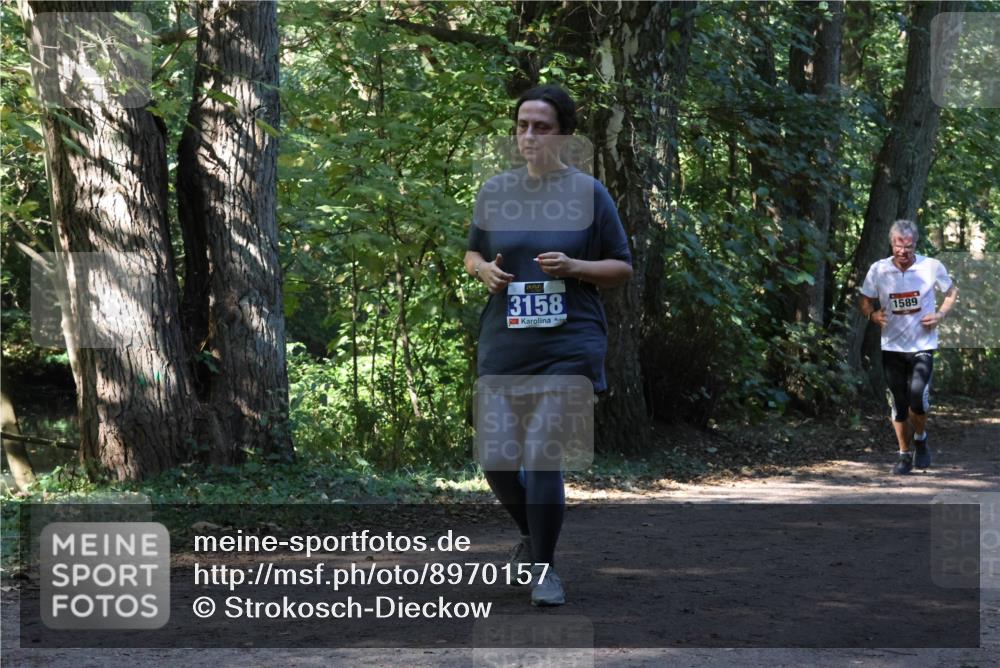 28.09.2025 - 33. Volkslauf durch das schöne Alstertal Strokosch-Dieckow http://msf.ph/oto/8970157 28.09.2025 11:44:08 Laufen 3158, 1589 meine-sportfotos.de