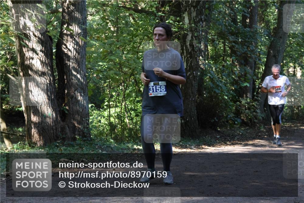 28.09.2025 - 33. Volkslauf durch das schöne Alstertal Strokosch-Dieckow http://msf.ph/oto/8970159 28.09.2025 11:44:08 Laufen 3158, 589 meine-sportfotos.de