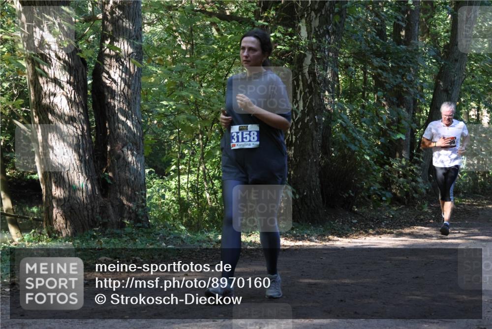 28.09.2025 - 33. Volkslauf durch das schöne Alstertal Strokosch-Dieckow http://msf.ph/oto/8970160 28.09.2025 11:44:08 Laufen 3158 meine-sportfotos.de