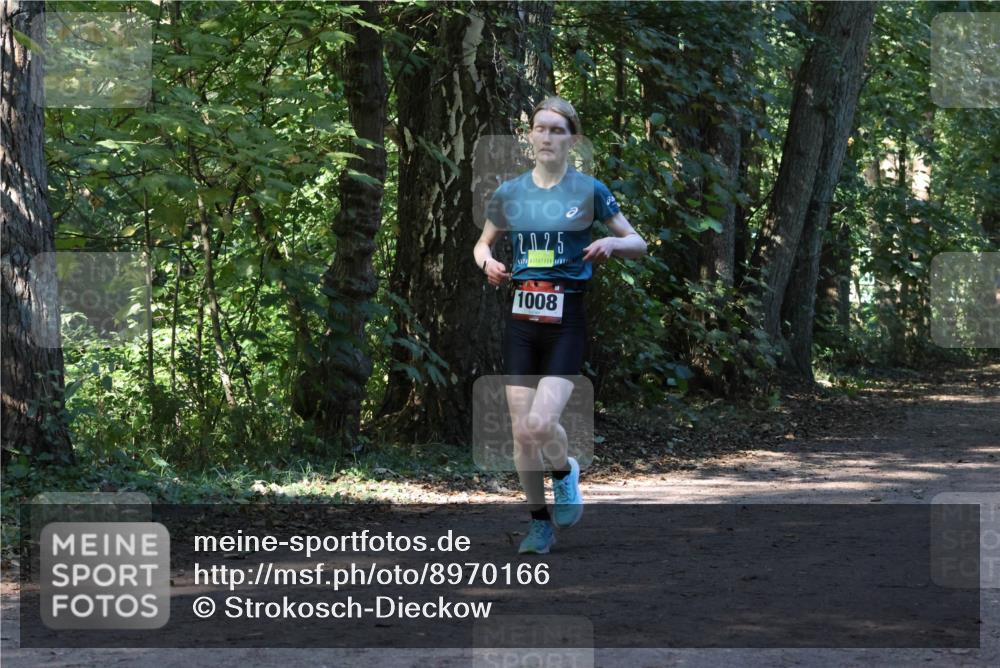 28.09.2025 - 33. Volkslauf durch das schöne Alstertal Strokosch-Dieckow http://msf.ph/oto/8970166 28.09.2025 11:44:12 Laufen 2025, 1008 meine-sportfotos.de