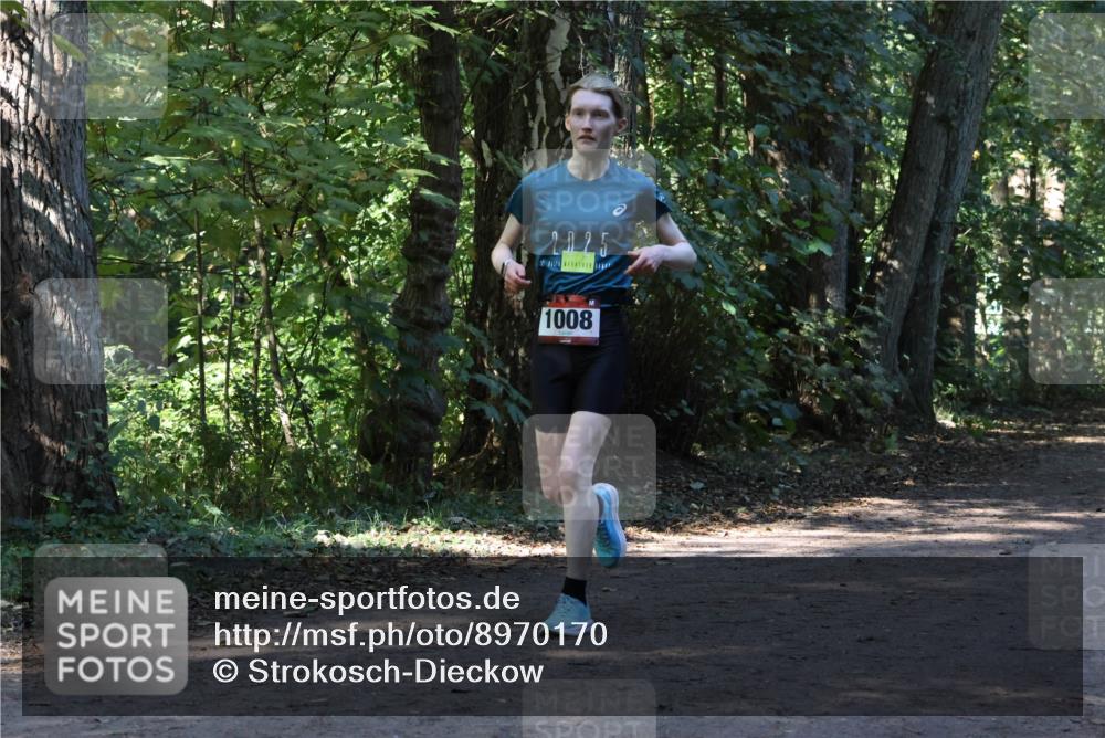 28.09.2025 - 33. Volkslauf durch das schöne Alstertal Strokosch-Dieckow http://msf.ph/oto/8970170 28.09.2025 11:44:12 Laufen 2025, 1008 meine-sportfotos.de