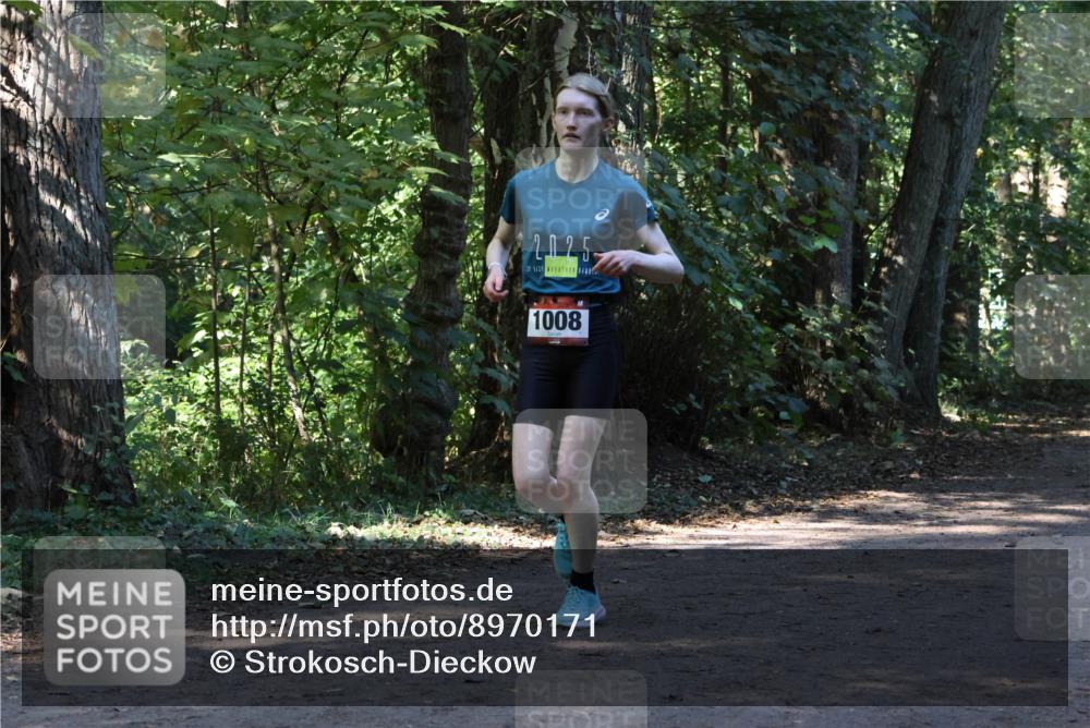 28.09.2025 - 33. Volkslauf durch das schöne Alstertal Strokosch-Dieckow http://msf.ph/oto/8970171 28.09.2025 11:44:12 Laufen 202, 5, 1008 meine-sportfotos.de