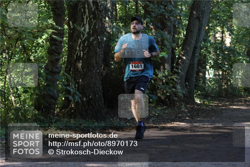 28.09.2025 - 33. Volkslauf durch das schöne Alstertal Strokosch-Dieckow http://msf.ph/oto/8970173 28.09.2025 11:44:17 Laufen 44, 1601 meine-sportfotos.de