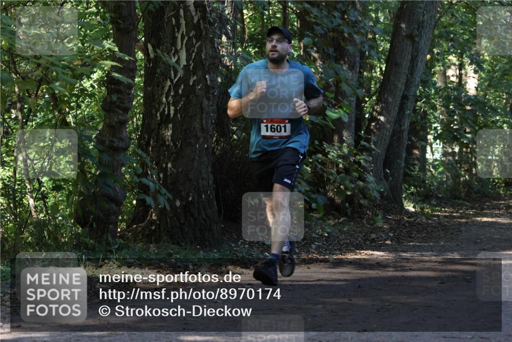 28.09.2025 - 33. Volkslauf durch das schöne Alstertal Strokosch-Dieckow http://msf.ph/oto/8970174 28.09.2025 11:44:17 Laufen 1601 meine-sportfotos.de