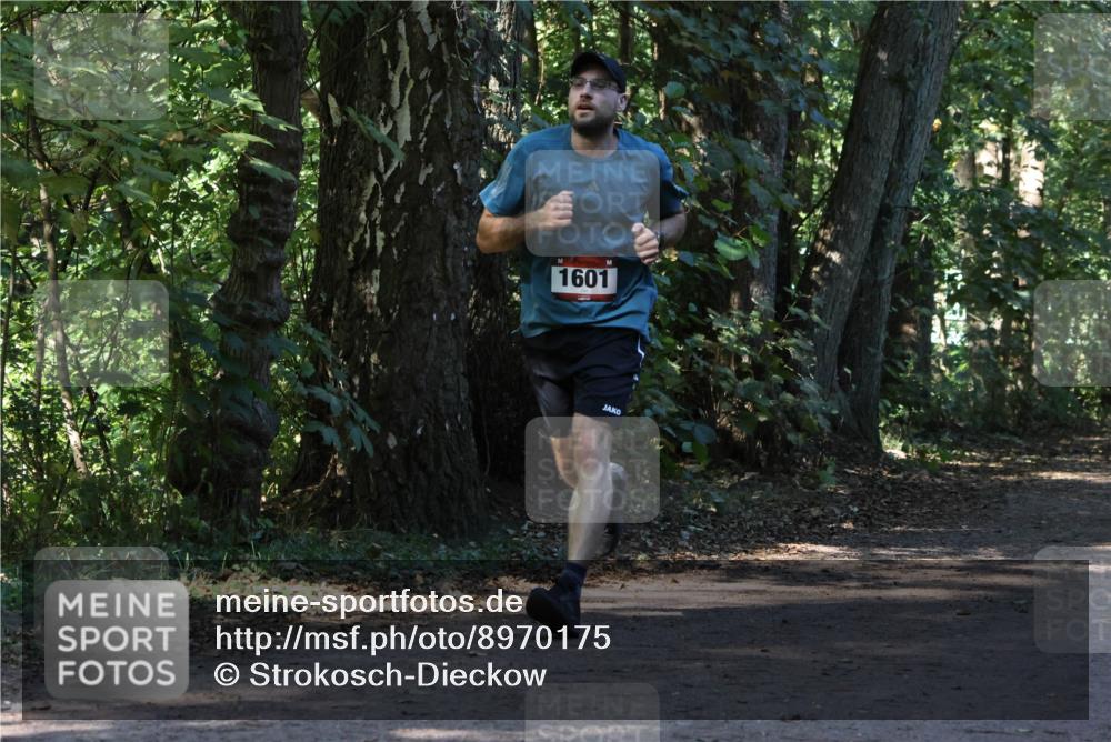 28.09.2025 - 33. Volkslauf durch das schöne Alstertal Strokosch-Dieckow http://msf.ph/oto/8970175 28.09.2025 11:44:17 Laufen 1601 meine-sportfotos.de